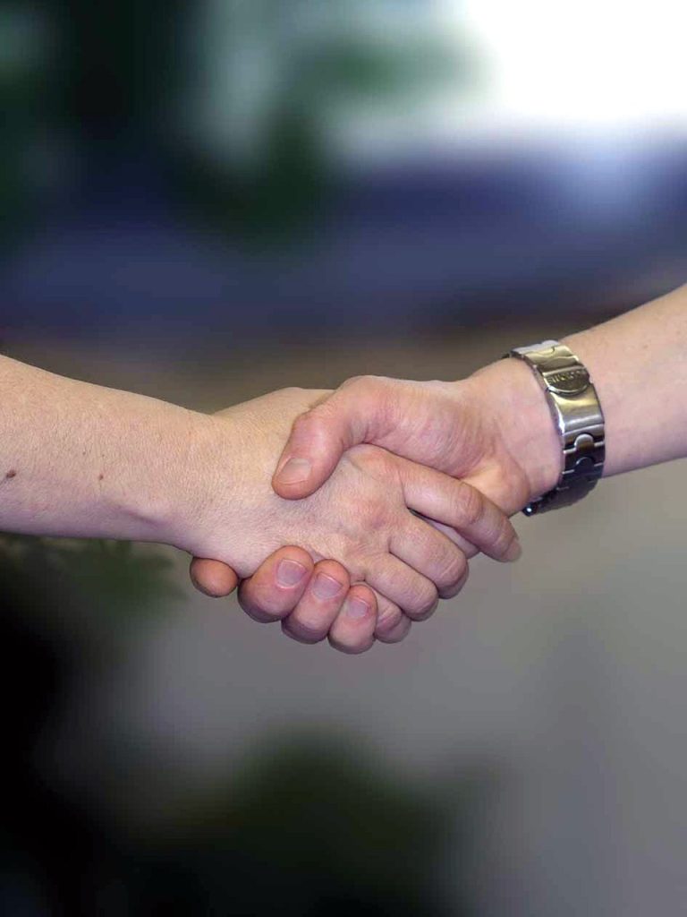 handshake, hands, welcome-733239.jpg